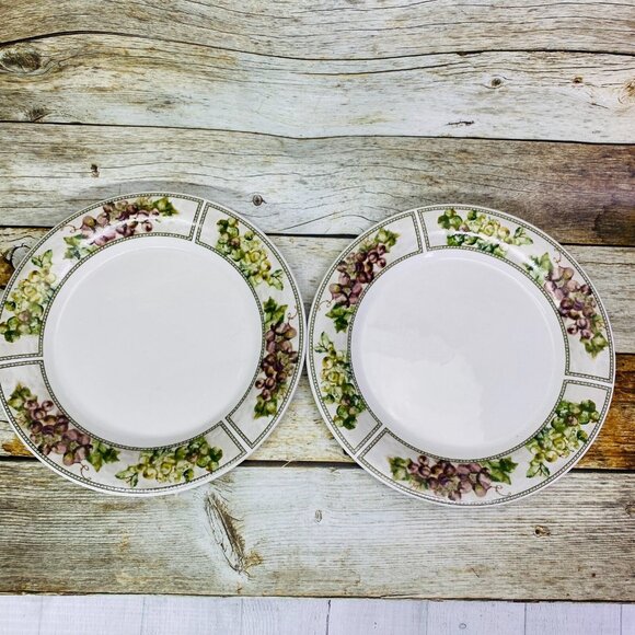 Oneida TUSCAN GRAPES Cheri Blum Rim Panels Dots Stoneware Dinner Plates Set 4 - Picture 2 of 10